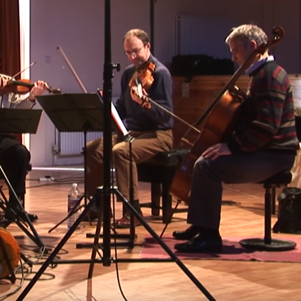 Naxos Quartets